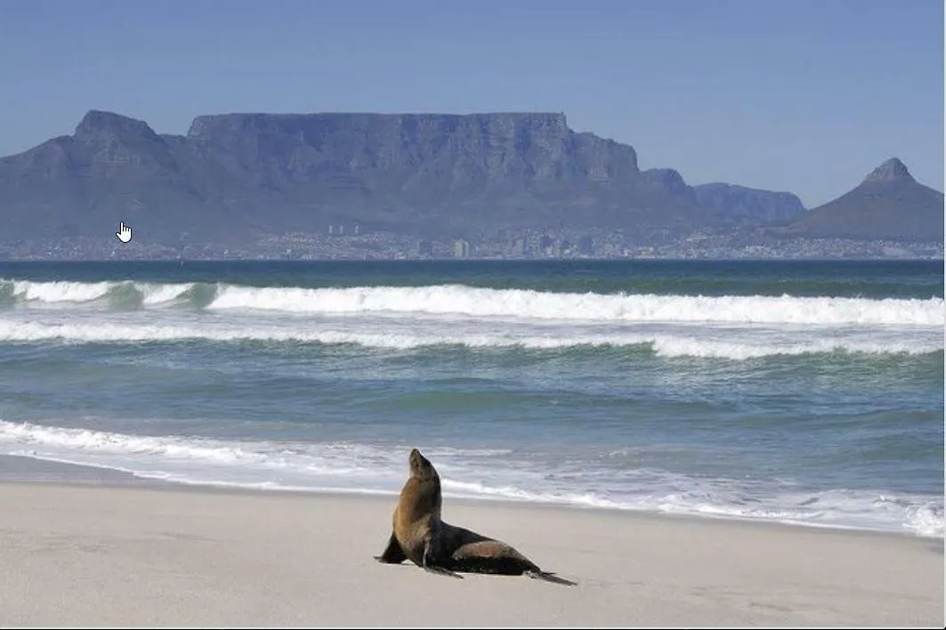 Sea Spray Apartment Bloubergstrand